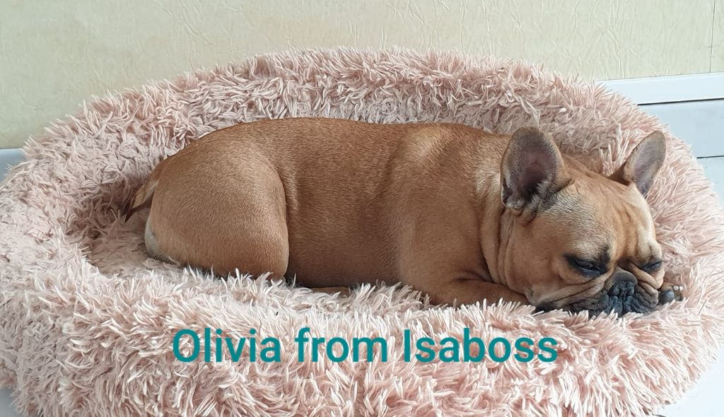 Olivia From Isaboss