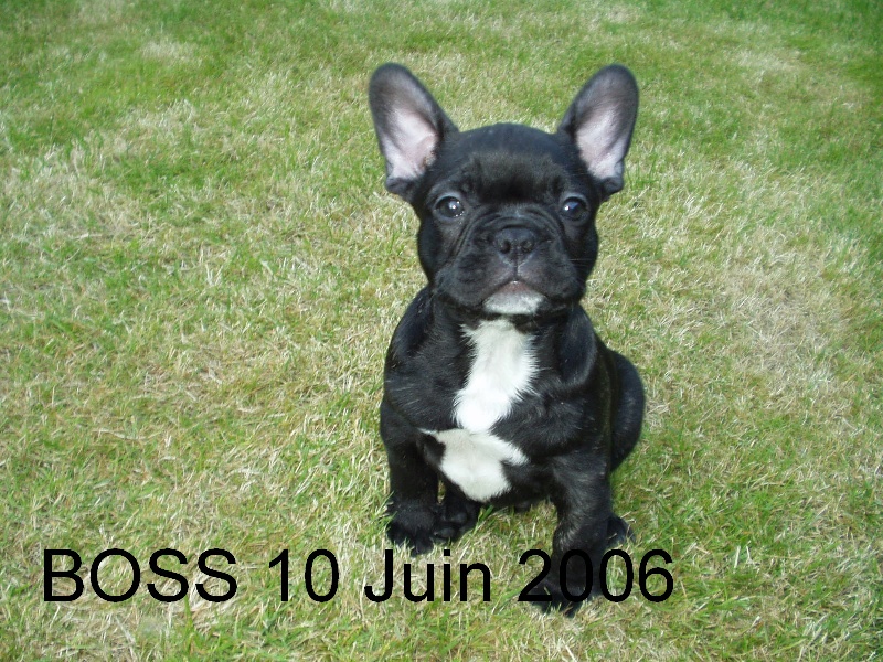 Boss gardiens du clos st andre